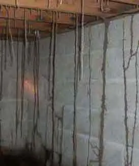 Traitement termites injection des murs - GROUPE SAPA - indices de dégâts des termites